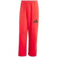 Брюки Adidas M WIDE PANT FT 