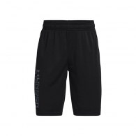Шорты Under Armour UA Prototype 2.0 Wdmk Shorts thumbnav 1