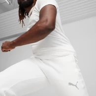 Pantaloni Puma EVOSTRIPE Pants DK thumbnav 2