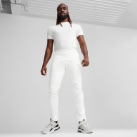 Pantaloni Puma EVOSTRIPE Pants DK thumbnav 3
