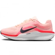 Кроссовки Nike WMNS AIR WINFLO 11 