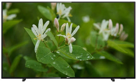 Televizor Philips 55PUS6503 / 55" / LED / UHD 4K photo 1