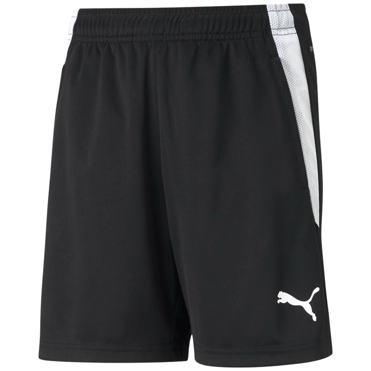 Sorti Puma teamLIGA Training Shorts Jr photo 
