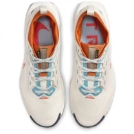 Кроссовки Nike PEGASUS TRAIL 5 GTX thumbnav 4
