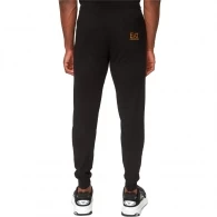 Брюки EA7 EMPORIO ARMANI TRAIN LOGO SERIES M PANTS CH C thumbnav 3