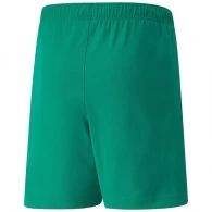 Sorti Puma teamRISE Short Jr thumbnav 2