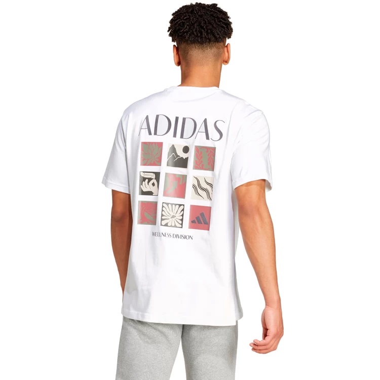 Футболка мужская Adidas M WELLNESS SS T XL Белый photo 4