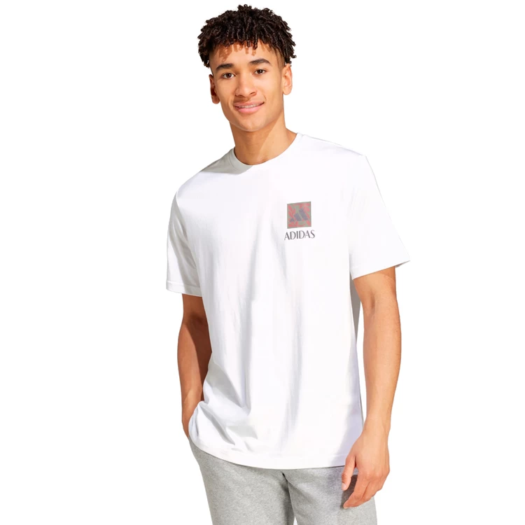 Футболка мужская Adidas M WELLNESS SS T XL Белый photo 5