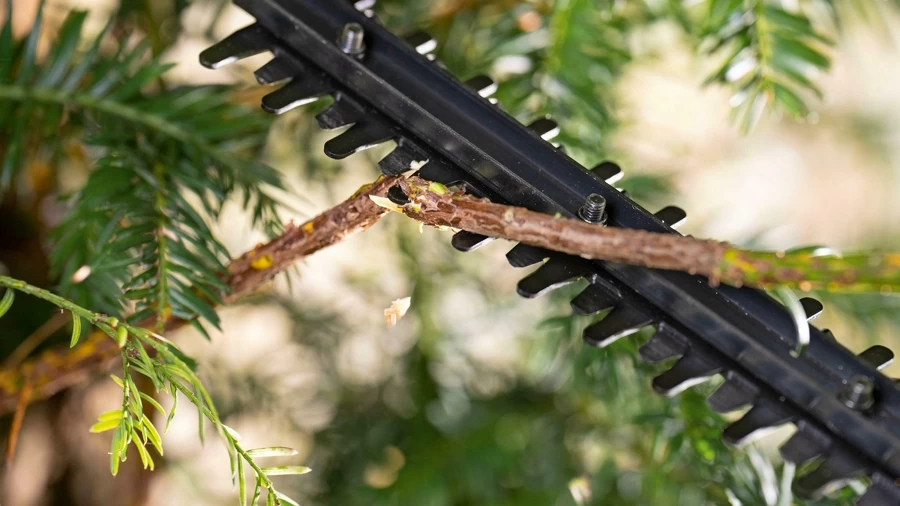 Кусторез Bosch EasyHedge Cut 18V-44-11, 0600849H07 photo 3