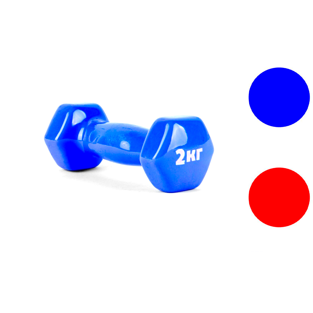 Gantera 2 kg SILAPRO Dumbbell photo 4