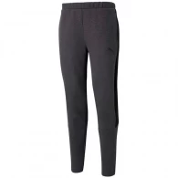 Брюки Puma EVOSTRIPE Core Pants 