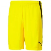 Sorti Puma teamLIGA Shorts Cyber 