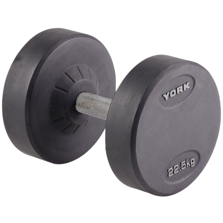 Гантель 22.5 кг YORK Pro-Style Rubber Dumbbell photo 1