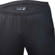 Sorti Mizuno Nara Trainng Short thumbnav 3