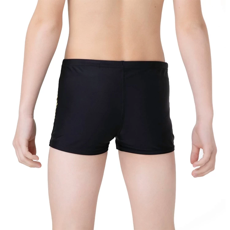 Slipi-sorti Speedo MEDLEY LOGO AQUASHORT 15-16 Negru Barbati photo 4