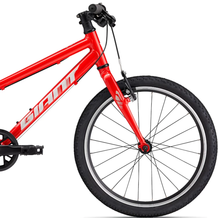 Bicicleta pentru copii Giant ARX 20 / Rosu 25 / 1x8 photo 5