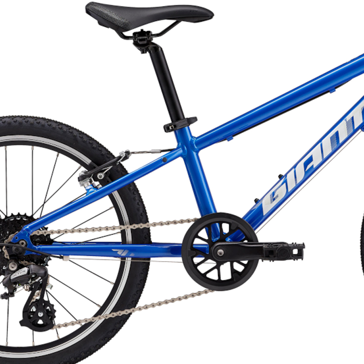 Bicicleta pentru copii Giant ARX 20 / Albastru 25 / 1x8 photo 3