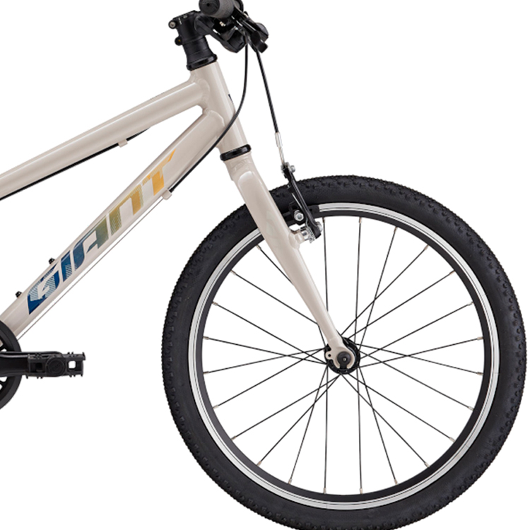 Bicicleta pentru copii Giant ARX 20 / Gri 25 / 1x8 photo 2