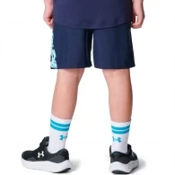 Шорты Under Armour UA Tech Woven Graphic Short thumbnav 3