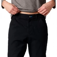 Брюки Columbia Flex ROC Lined Pant thumbnav 2