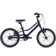 Bicicleta pentru copii Giant ARX F/W 