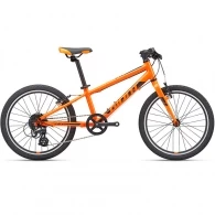 Bicicleta pentru copii Giant ARX 