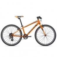 Bicicleta pentru copii Giant ARX 