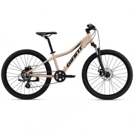 Bicicleta pentru copii Giant XtC Jr Disc 24 