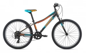 Bicicleta pentru copii Giant XtC Jr Lite 