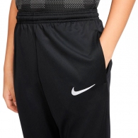 Брюки Nike Park 20 Knit Pant thumbnav 2