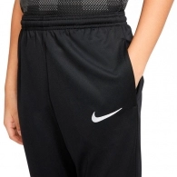 Брюки Nike Park 20 Knit Pant thumbnav 2