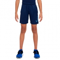 Шорты Nike B NK DF HBR SHORT thumbnav