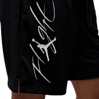 Шорты Nike M J ESS SSNL SHORT thumbnav 4