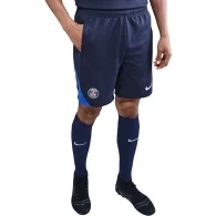 Шорты Nike PSG M NK DF STRK SHORT KZ 