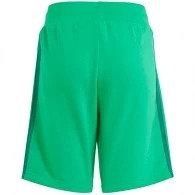 Sorti Adidas SHORTS thumbnav 2