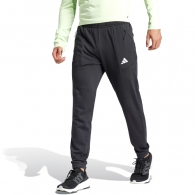 Брюки Adidas WO DK PT thumbnav 3