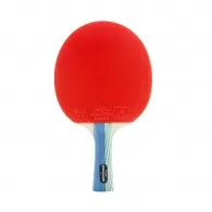 Set tenis de masa Torneo COMPETITION 