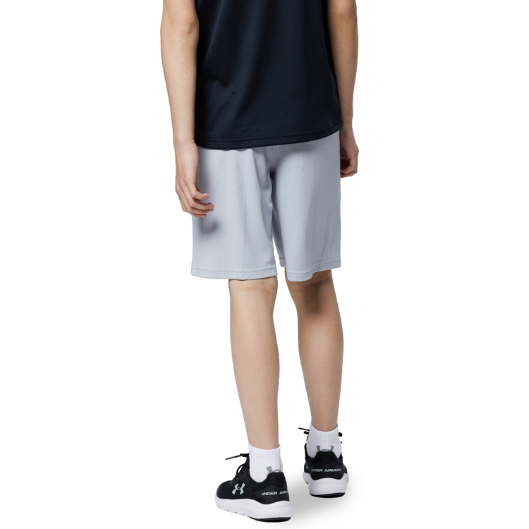 Шорты Under Armour UA BGS PROTOTYPE 2.0 LOGO SHORTS photo 5