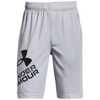 Шорты Under Armour UA BGS PROTOTYPE 2.0 LOGO SHORTS thumbnav