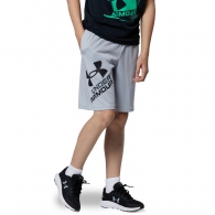 Шорты Under Armour UA BGS PROTOTYPE 2.0 LOGO SHORTS thumbnav 4