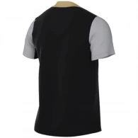 Футболка Nike M NK DF ACDPR24 SS TOP K thumbnav 2