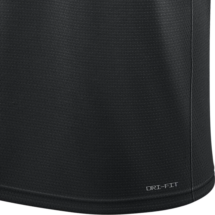 Майка для мужчин Nike BOS MNK DF SWGMN JSY STM 22 XL Черный photo 4