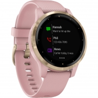 Garmin Vivoactive 4S, Dust Rose wich Light Gold Hardware thumbnav 1