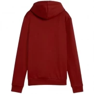 Толстовка Puma ESS Logo Hoodie FL thumbnav 2