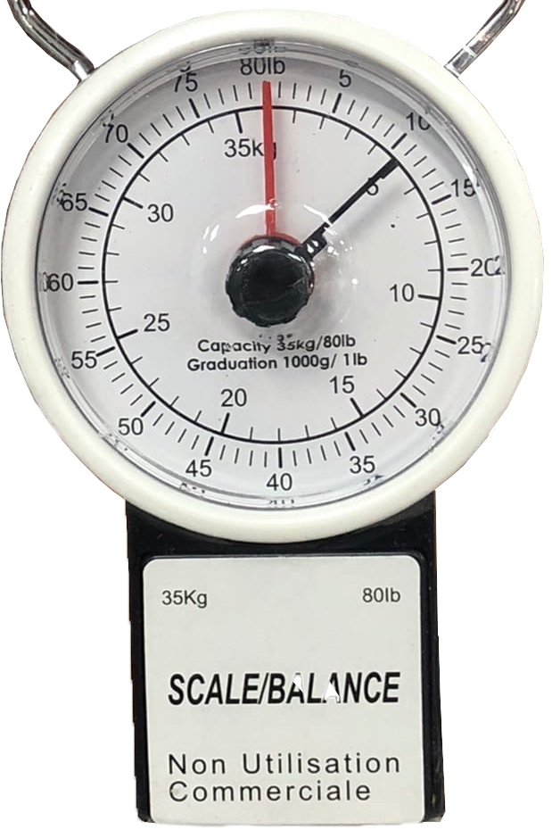 Cintar p/u bagaje Scale NScale-14, Alb photo 1 Cintar p/u bagaje Scale NScale-14, Alb photo 1