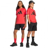 Set tricou + sorti Adidas J BL T-SET 