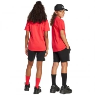 Набор футболка + шорты Adidas J BL T-SET thumbnav 4