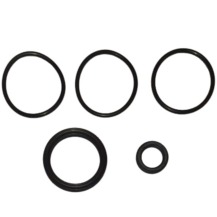 Complect reparatie Giant CREST 34 Oring/Xring set photo 