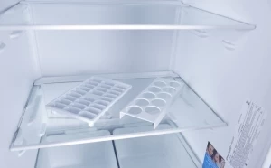 Холодильник Indesit DS 3181 W thumbnav 6