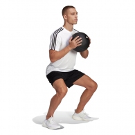 Шорты Adidas TR-ES LOGO SHO thumbnav 3